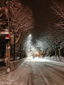 Ulica zima
